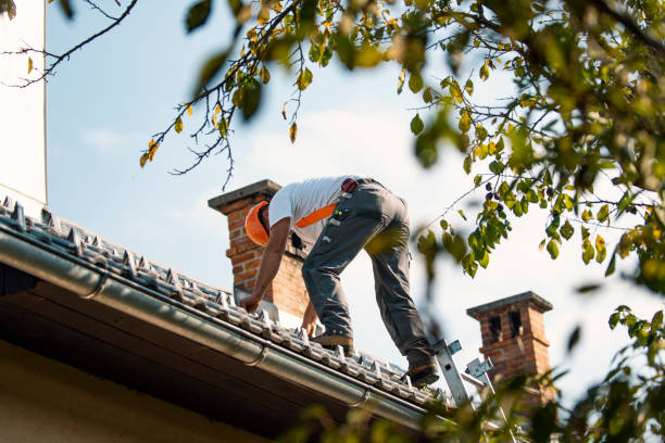 Best Commercial Roofing Services  in Plafield, IN