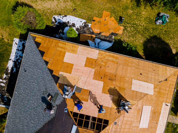 Best Roof Repair Services  in Plafield, IN