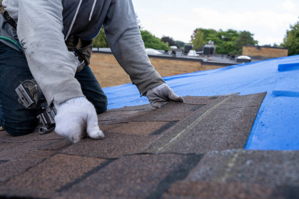 Best Roof Waterproofing Services  in Plafield, IN