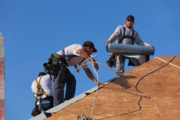 Best Storm Damage Roof Repair  in Plafield, IN